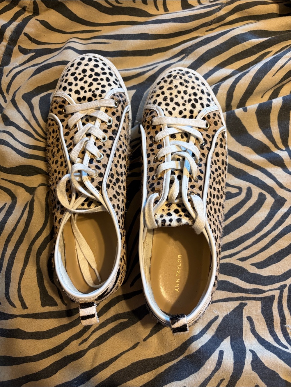 Ann Taylor Leopard Spot Lace-Up Sneakers in Beige and Black